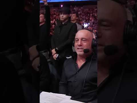 UFC COMMENTARY REACTS TO PEREIRA VS ANKALAEV 2 #ufc #mma #alexpereira