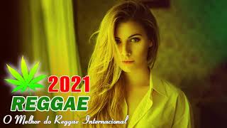 Download lagu Música Reggae 2021 - O Melhor do Reggae Internacional - Reggae Remix 2021 #12 mp3