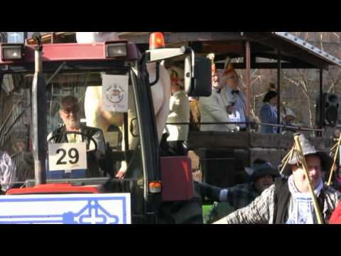 Faschingsumzug/ Carneval parade Mannheim-LU 2011