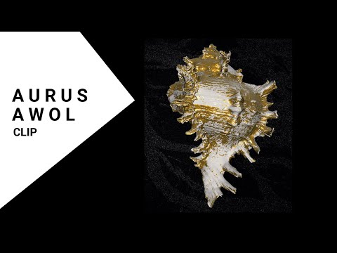 AWOL - Aurus (Official Music Video)