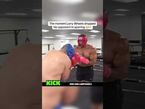 Larry Wheels dropped his opponent in sparring 😳👀 #larrywheels #boxing
