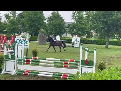 CALVADOS CLAIR'ELLE Z - PARCOURS 2