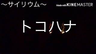 【ヲタ芸練習】　色々打ってみました。（ギルガメッシュ→烈剣→ゲイ・ボルグ改→ロマンス、航の紋章→航の紋章改→真航の紋章→摩耶改二）編集の魔術使って遊んでみた。動画二重、両方透明度いじってません。
