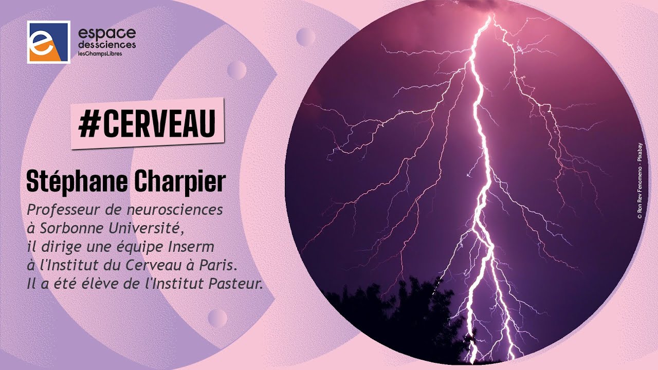 ✨ [Stéphane Charpier] Mort de la conscience et conscience de la mort