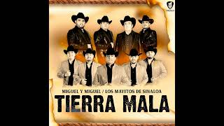 Miguel Y Miguel Ft Los Mayitos De Sinaloa Tierra Mala