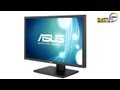 Video review Asus PA249Q ProArt