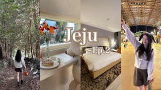 【Jeju trip EP.2】 韓国🇰🇷秋のチェジュ島旅行(カフェ/椿村/リゾートホテル)