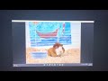Linny The Guinea Pig To Do Cartwheel