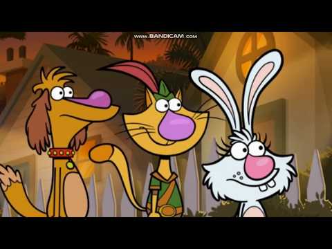 Nature Cat Lights Out For Sea Turtles Part 1