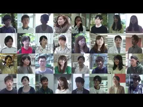 摂大で取れる資格、なれる自分