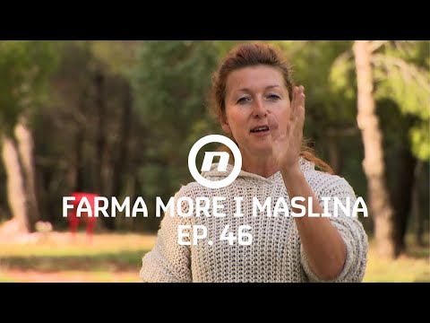 Farmerice prigovaraju, Katarinu nije briga - Epizoda 46 | Farma More i Maslina