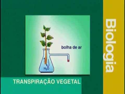 B 08 - Transpiração Vegetal - Biologia - Vestibulando Digital