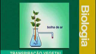 B 08 - Transpiração Vegetal - Biologia - Vestibulando Digital
