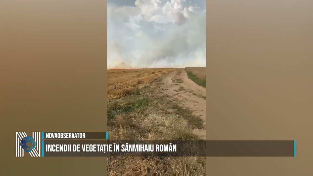 Incendii de vegetație în Sânmihaiu Român
