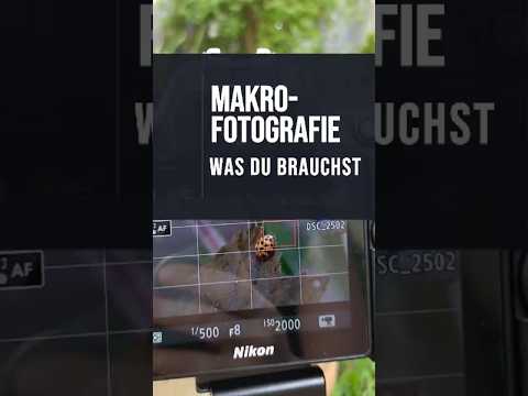 Makrofotografie | Setup erklärt kurz #fotografielernen