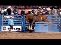 Bareback Rider
