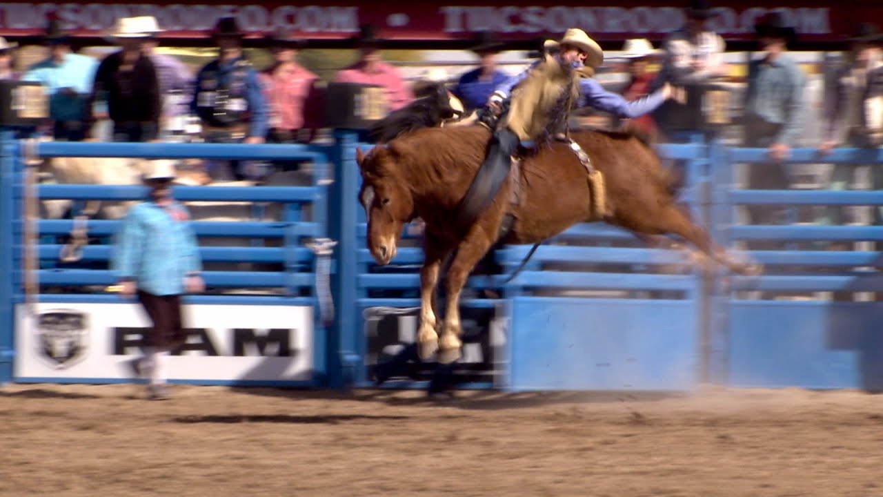 Bareback Rider