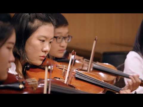 NJAYO String Chamber NVYAC AD