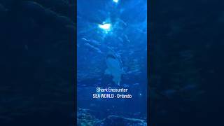 Shark Encounter - SEA WORLD - Orlando #seaworld