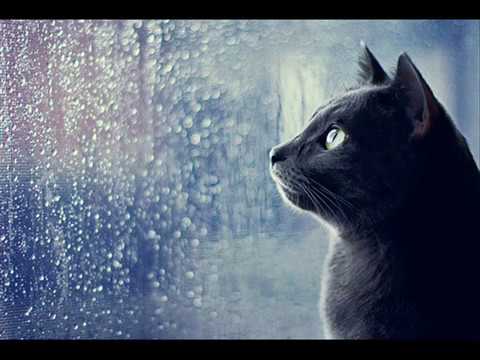 Dj Joe K - Free The Night (Remix)