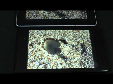Nexus 7 (2013) vs Nexus 7 (2012)