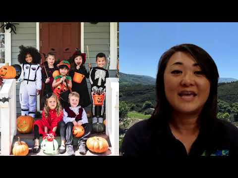 Weekly Wave 26-30 Oct 2020