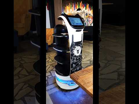 Neko Cafe Toruń - kocia Kawiarnia i koci robot kelner #shorts #cat #funnyvideo #cafe #robot
