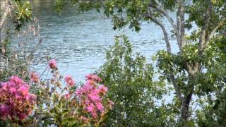 Be Thou My Vision - Flatsicle (Harpsicle) Harp