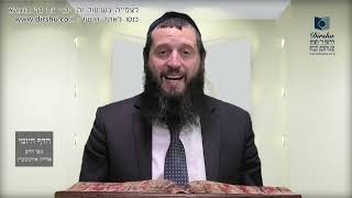 הדף היומי מסכת מגילה דף כד