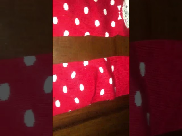 Vídeo relacionado con PUTUO Calcetines Niña Divertidos de Algodón: Infantiles Calcetín Animales Térmicos Invierno Niñas Talla 5-7 años 5 pares