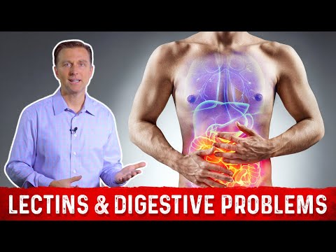 High & Low Lectin Foods & Digestive Problems Explained by Dr.Berg