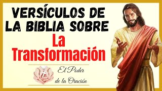 🙏🏻 Versículos de la biblia sobre la Transformación 🙏🏻 Qué dice la biblia sobre la Transformación