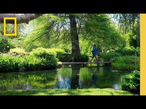 瓦特羅斯農場的再生農業實踐大揭祕!|國家地理 (Exploring Regenerative Farming Practices at Waitrose Farms | National Geographic)
