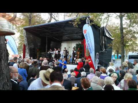 Oh, Johanna - Sašo Avsenik und seine Oberkrainer (Live)