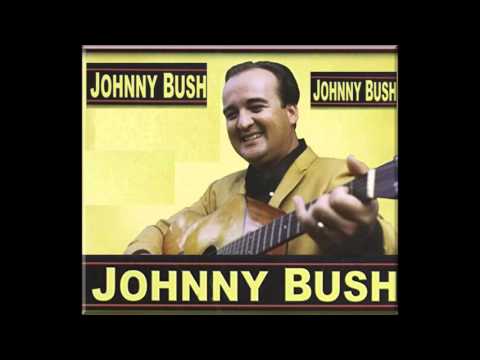 Johnny Bush - Drinkin' My Baby Right Out of My Mind