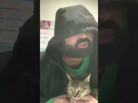 Pele - ცისფერი MC (Diss IV Dasi)