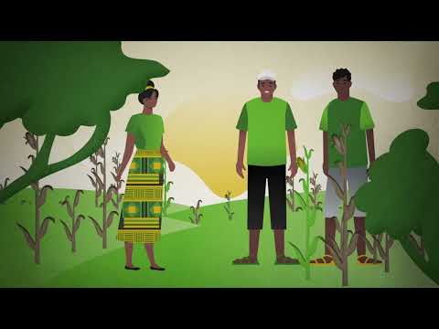 Disrupting Poverty in Africa | 2D Animation Explainer | Bayer