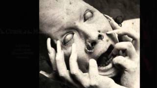 sopor aeternus  consider this the true meaning of love cover)