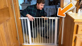 Comfurya Retractable Baby Gate - User Review