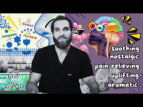 Terpenes and Cannabis: An Overview!