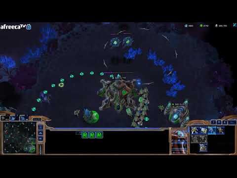 Maru P vs Patience T custom game 18 12 2019 afreecatv