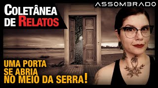 VIZINHO LOBISOMEM, A PORTA QUE SE ABRIA NA SERRA, A VELHA DA CASA E MUITO MAIS - COLETÂNEA