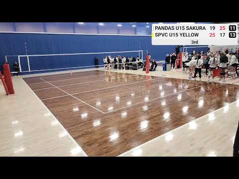 PANDAS U15 SAKURA vs SPVC U15 YELLOW - 02/02/2025