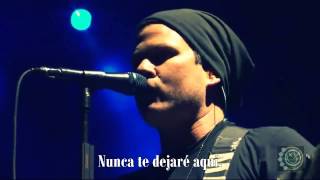 Blink 182 - Ghost on the Dance Floor (Subtitulada en Español)
