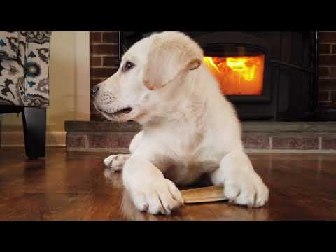 Morrison's. Your Home, Garden, Pet & Farm Store.