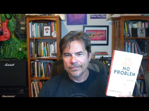 Two-minute summary of No Self No Problem