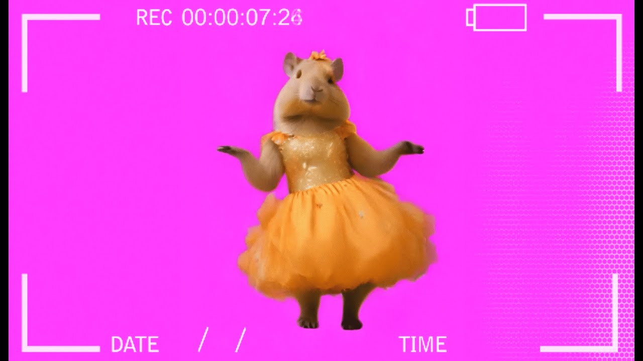 Хор Великан — Капибара