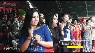 Download lagu ALBUM Live BANDARHARJO SEMARANG New PANTURA 24 Nov 2018 mp3