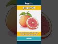 grapefruit (noun) - definition and usage in English
