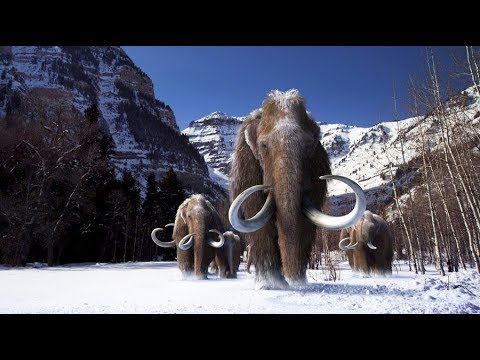 The Mammoth movie # 10000 BC